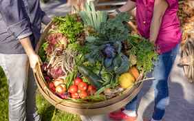 Gemüse vom eigenen Hof